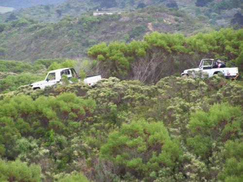 4x4 kleinkrans (25)